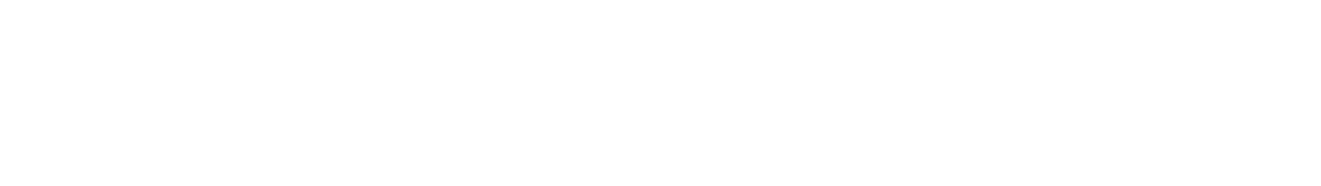 Logo SocialTechno